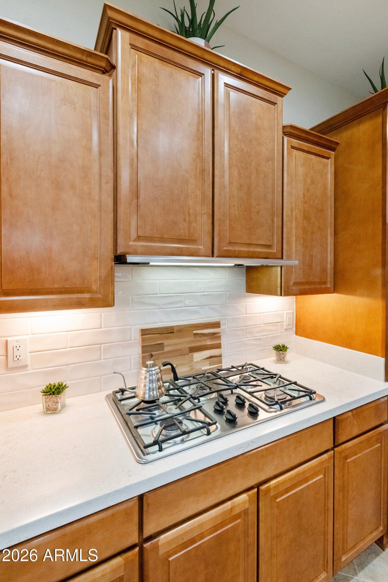 5291 S Sugarberry Ct Gilbert-print-021-0