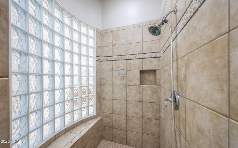 OWNER SHOWER - GAMBIT