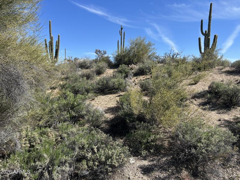 Lot view from street