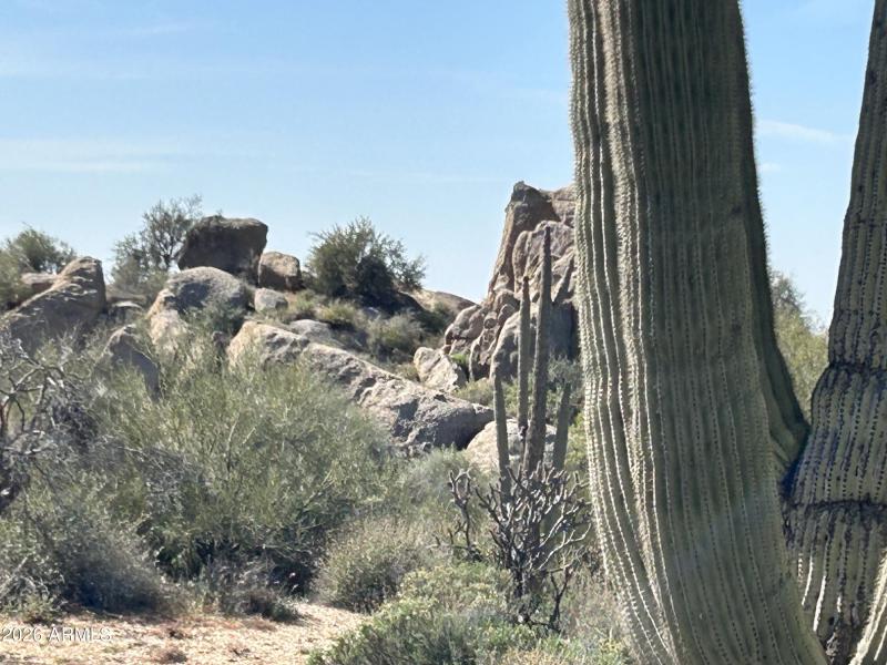 Part of your Natural Landscape