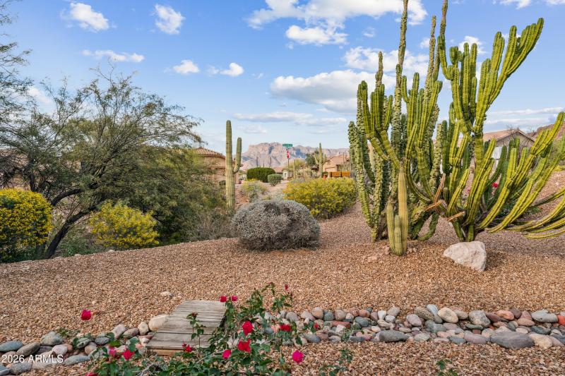 VIEWS FROM BACK PATIO