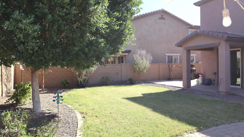 Backyard Lawn and Patio