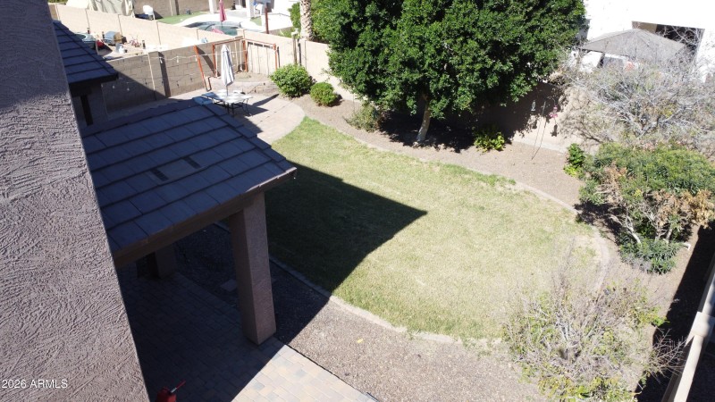 Spacious Backyard Lawn & Patio