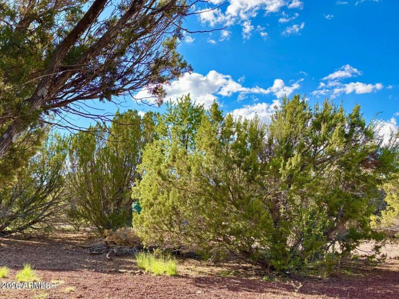 20260206085302855675000000-o