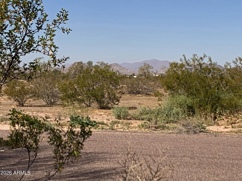 Grab Your Toys & Critters!