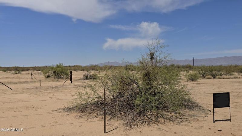 20260208_123102_Gallery