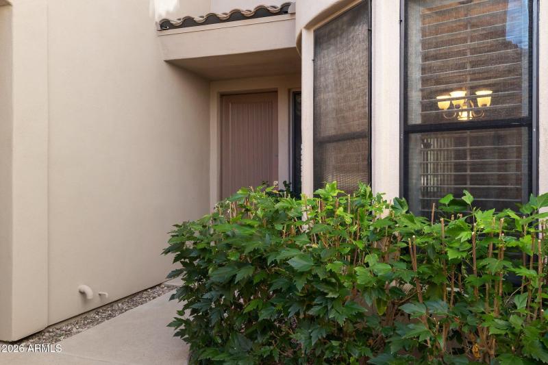 Front entrance with newly painted door