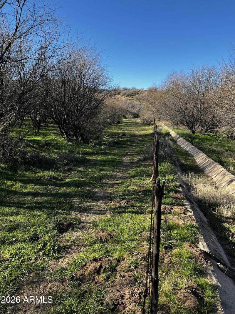 Mesquite Grove Irrigation Channel