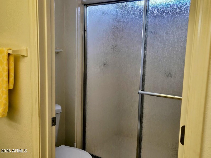 20810 N 143rd Way Master Bath2