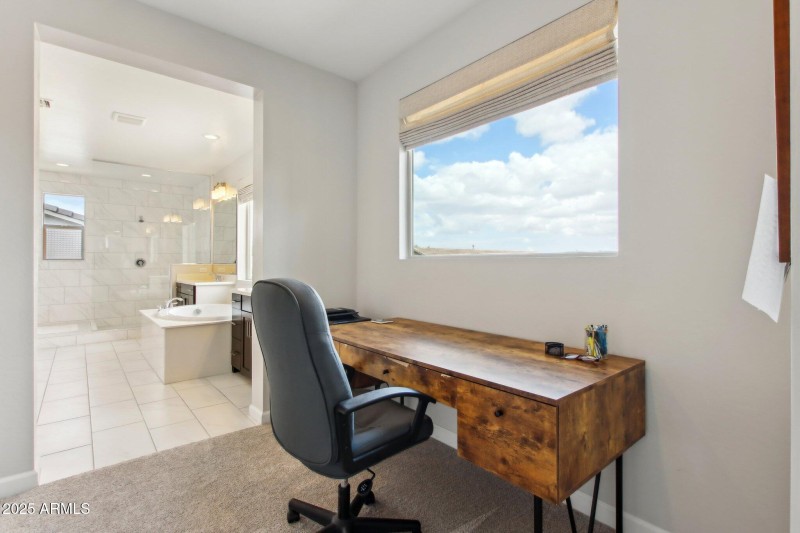 45-web-or-mls-E Appaloosa Rd-0605-045