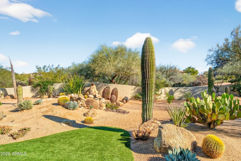 Maintenance Free Back Yard