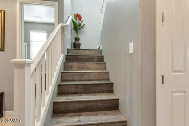 large-019c38b4-dd68-7291-bb59-df68eb84bd