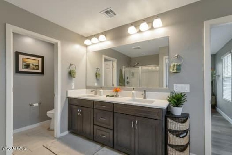 large-019c38b4-e207-725a-896a-03791f65a0