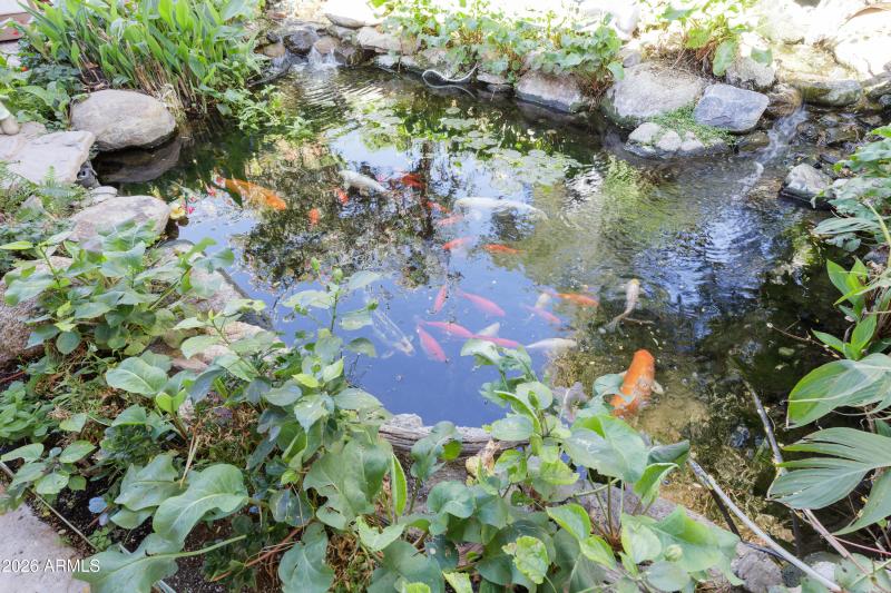 3A4A1647-DxO_DeepPRIME 3