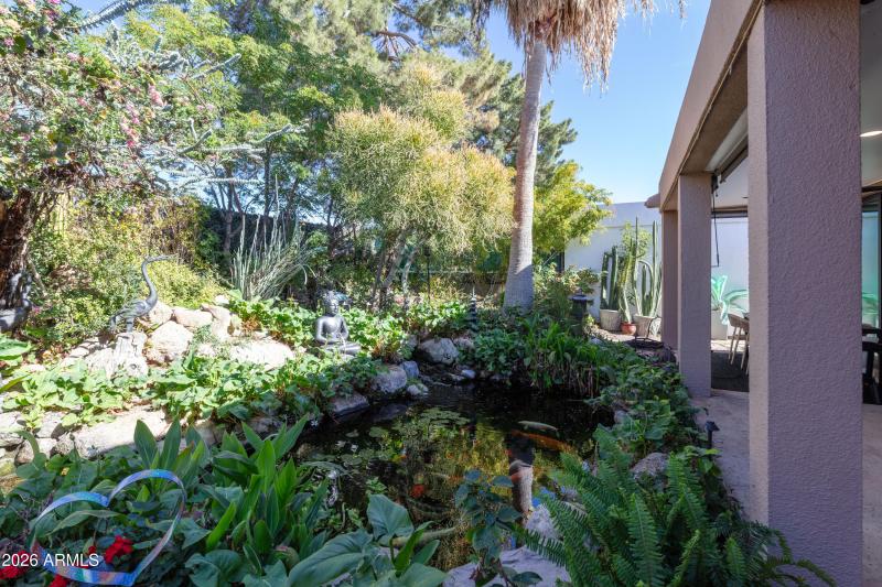 3A4A1656-DxO_DeepPRIME 3