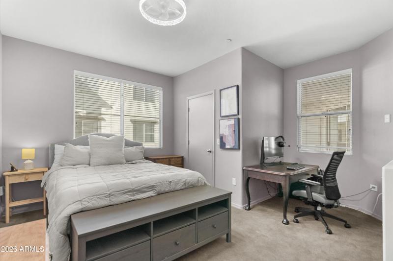 18-20260206-DSC07386