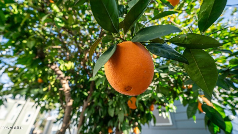 3710 S Goldfield Rd Unit 232-30