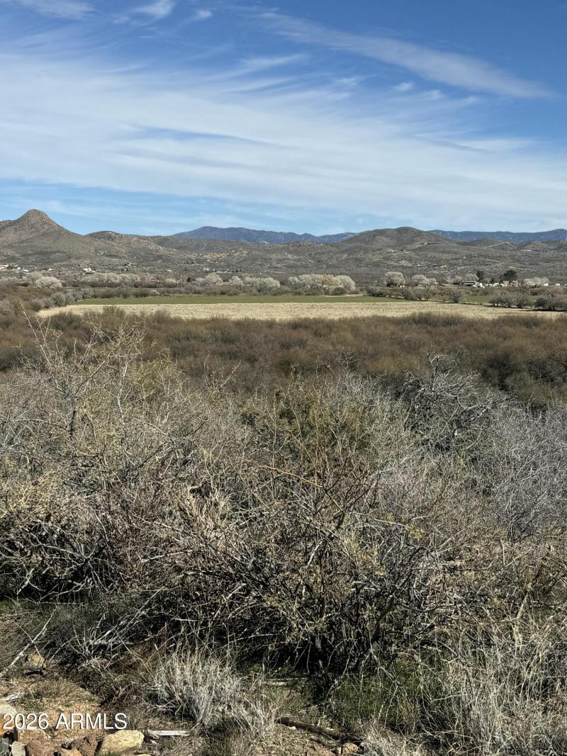 Mesquite Grove Bermuda Pasture