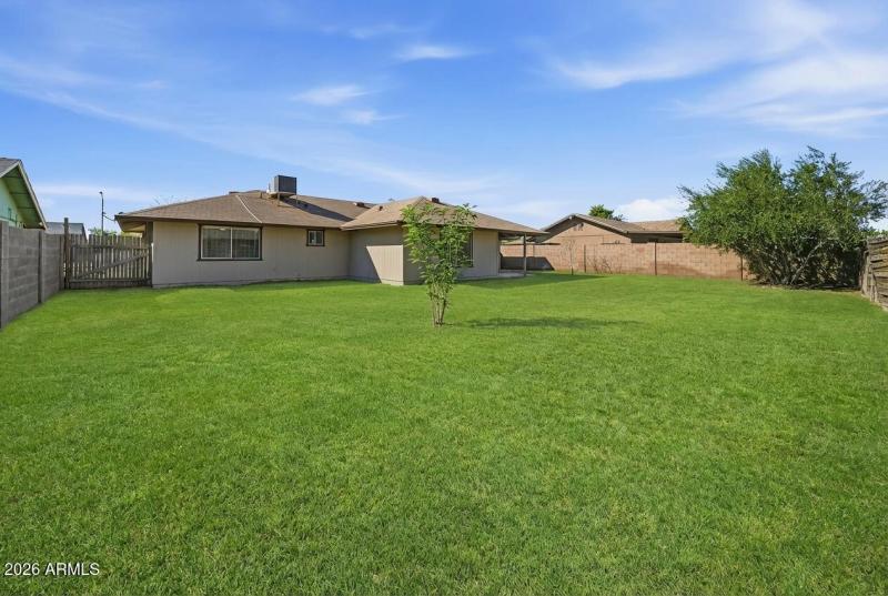 Large Backyard with Grass and trees!