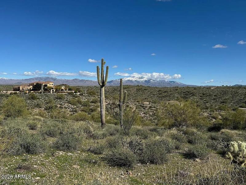 8be44453089dfd4e7000ad57df11fb16-uncropp