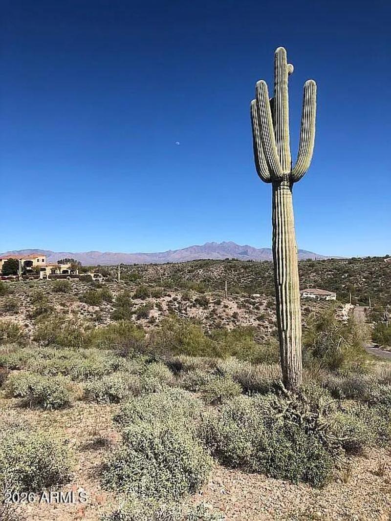 97f148f851487dcf7ac2b541326636d6-uncropp