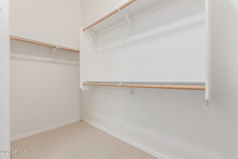 Primary Closet Poinsettia