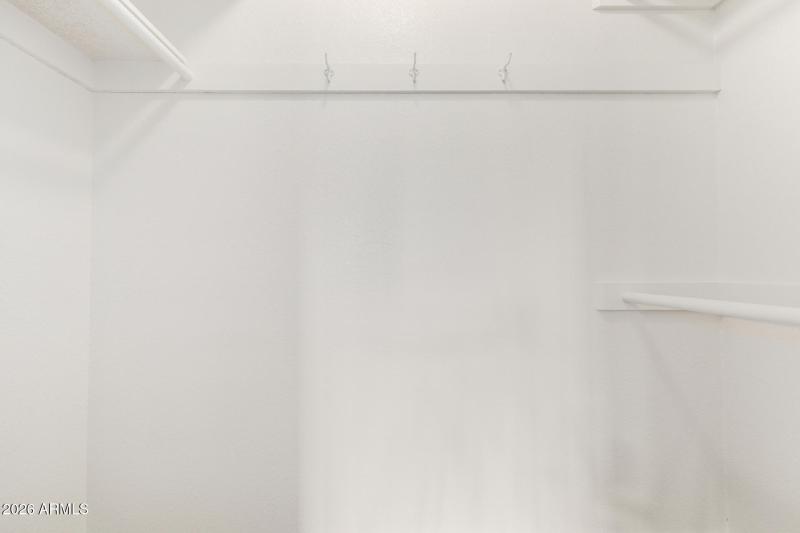 Primary Walk-in Closet