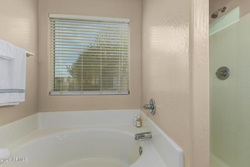 Separate Shower & Tub Master Bath