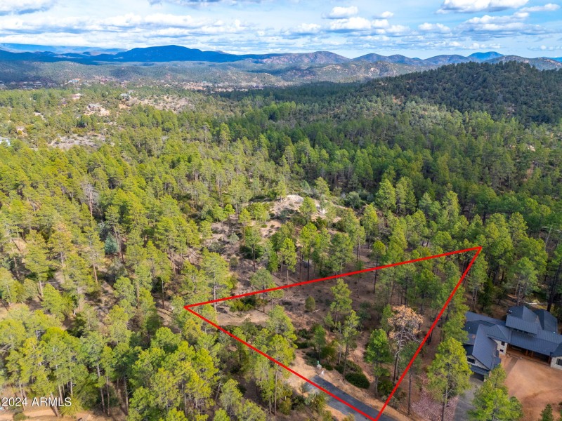 Lot 250 - 25 with borders