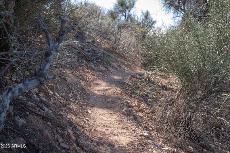 97-2626_S_Quail_Run-97