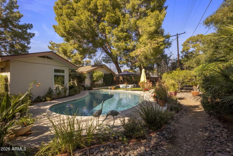 Beautifully Design Yard