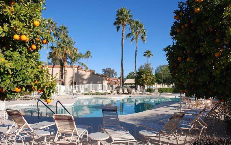 Palo Verde Country Club pool