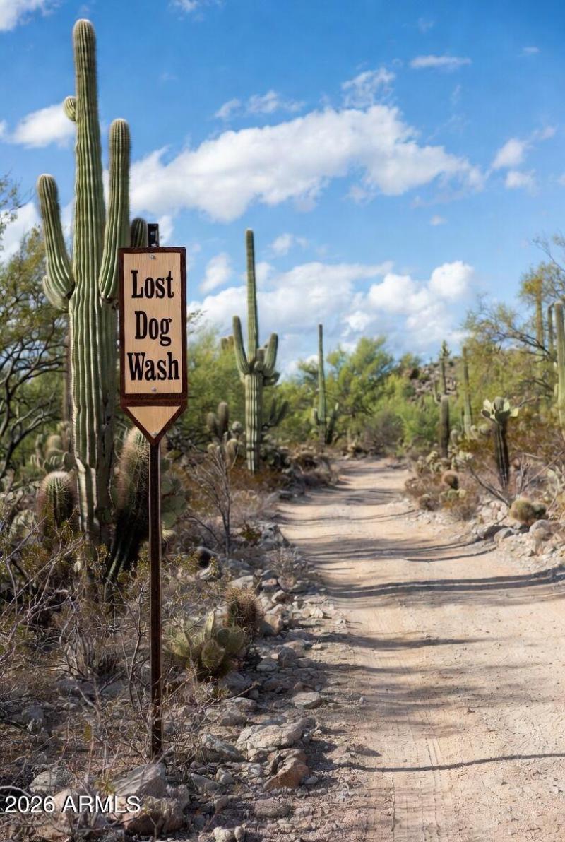 Minutes to Lost Dog Wash and other hikes