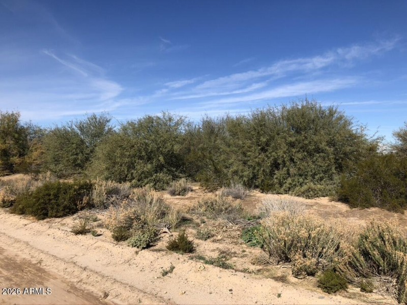 7651B359-AA6D-4BF7-B692-767191502BC7_1_1