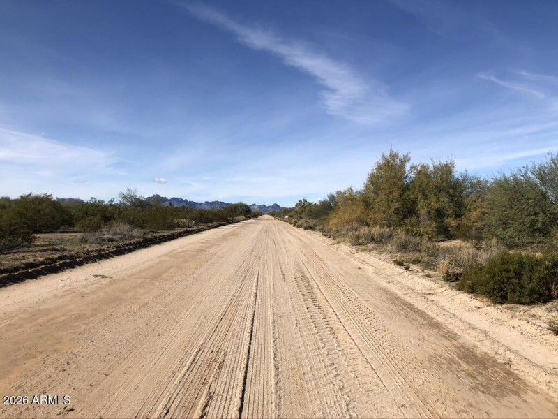 1166E8D2-905D-457A-BC85-8D1555926B95_1_1