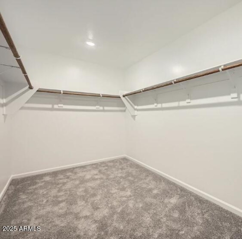 Owners Walk in Closet