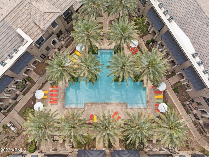 Community pool and spa