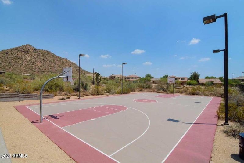 Basketball Court
