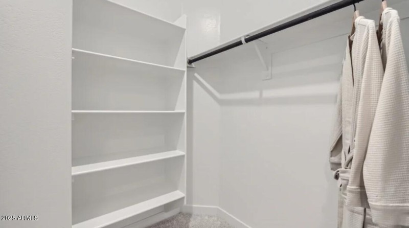 Owners Walk in Closet