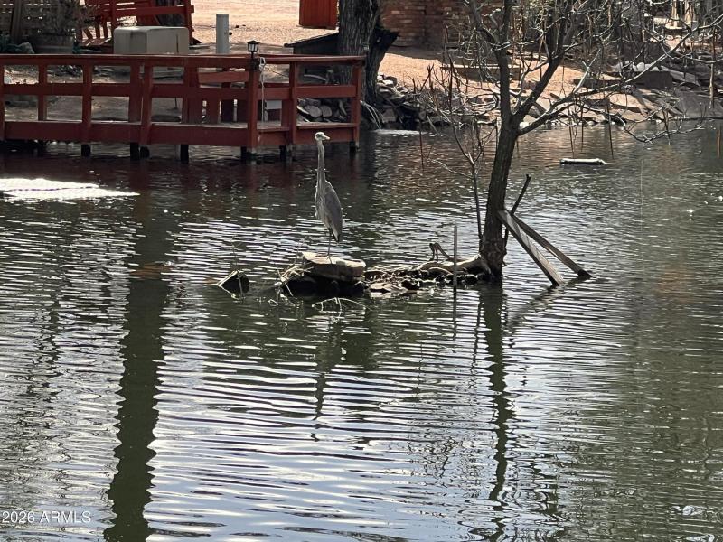 20260210_181120503_iOS