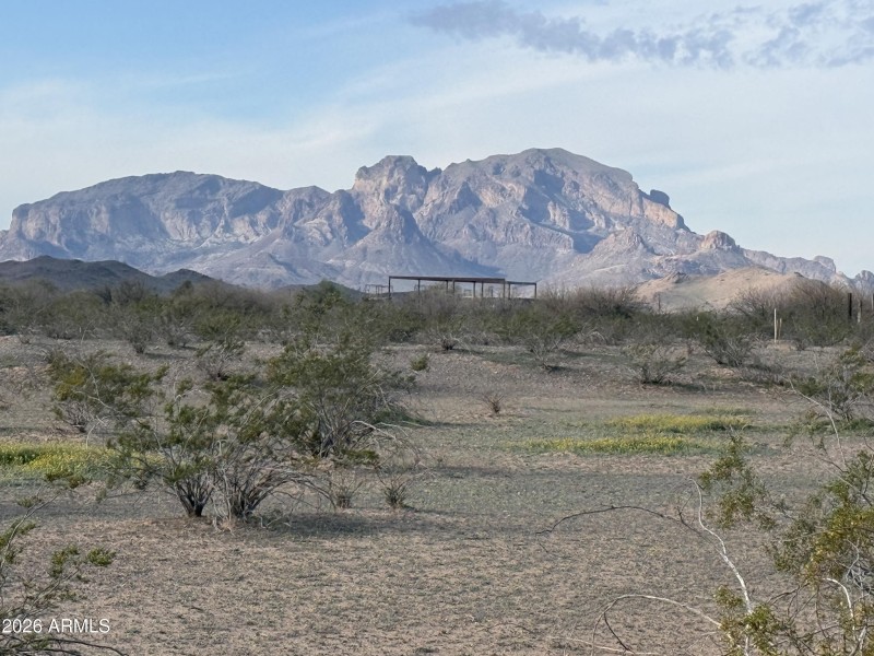 Saddle Mountain Ranch 1