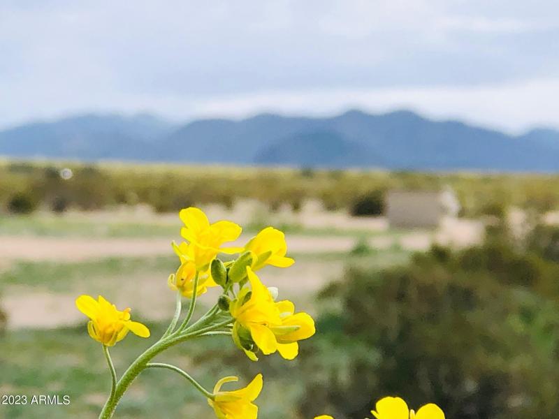Acre Lot near Mountains