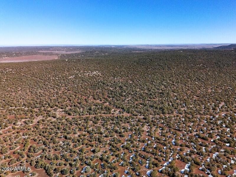 4) 67693-698e6b51f3b2e