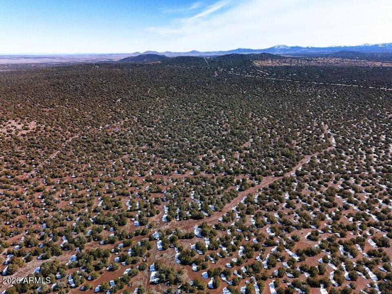 6) 67693-698e6b529d3a9