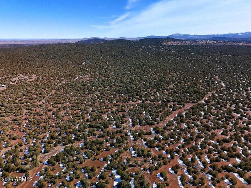 9) 67693-698e6b4346948