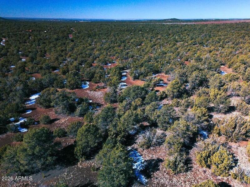 11) 67693-698e6b434c72a