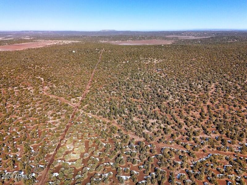 17) 67693-698e6b4b038f2