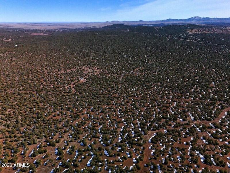 19) 67693-698e6b4c04d10