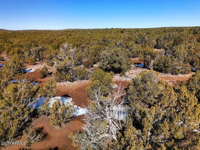 20) 67693-698e6b4c6fffe