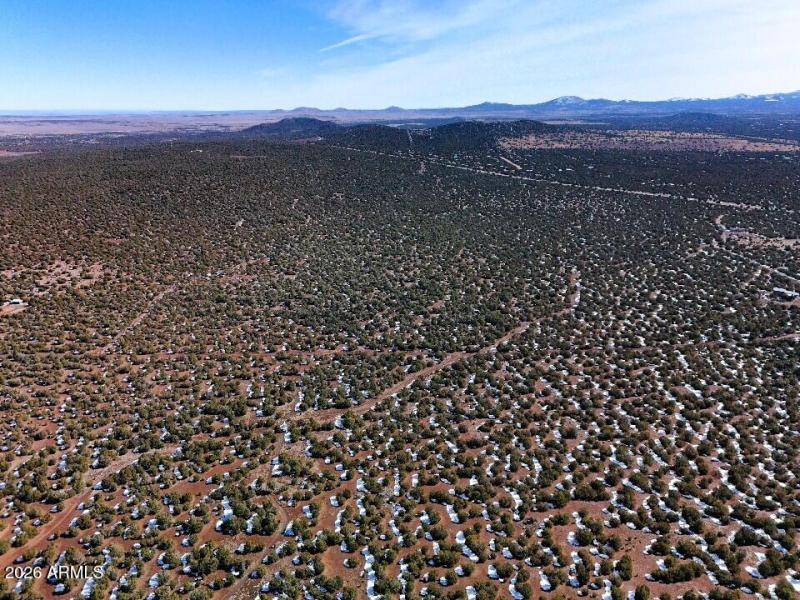 23) 67693-698e6b4ebea3d